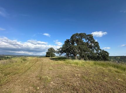 9830 New Chicago Rd, Drytown, CA 95699 Photo