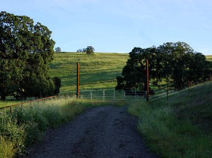 9830 New Chicago Rd, Drytown, CA 95699 Photo