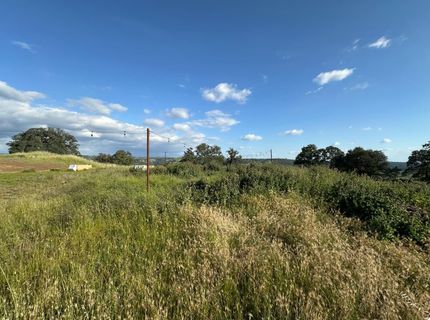 9830 New Chicago Rd, Drytown, CA 95699 Photo