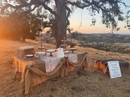 9830 New Chicago Rd, Drytown, CA 95699 Photo