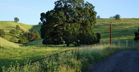 9830 New Chicago Rd, Drytown, CA 95699 Photo