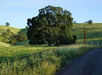 9830 New Chicago Rd, Drytown, CA 95699 Photo