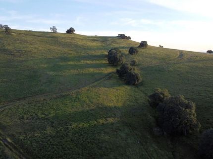 9830 New Chicago Rd, Drytown, CA 95699 Photo
