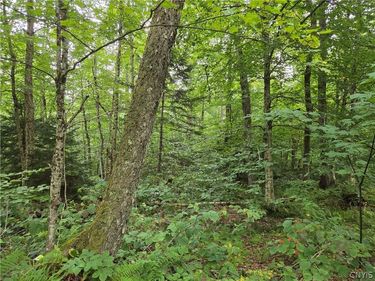 000 William Ernst Road, Lewis, NY 12950