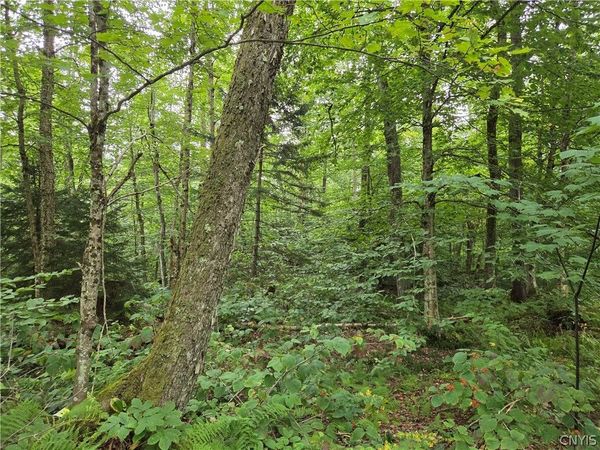 000 William Ernst Road , Lewis, NY 12950