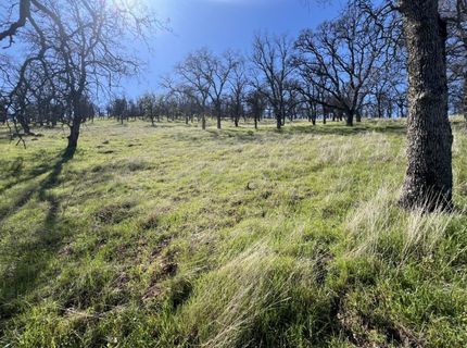 9405 Coronado Dr, La Grange, CA 95329 Photo