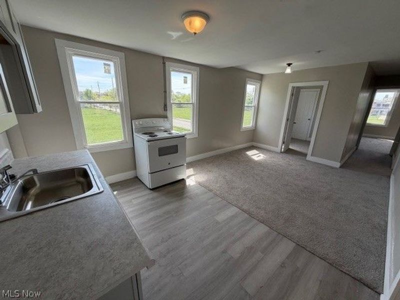 1427 E 92nd Street, Cleveland, OH 44106 Photo 23