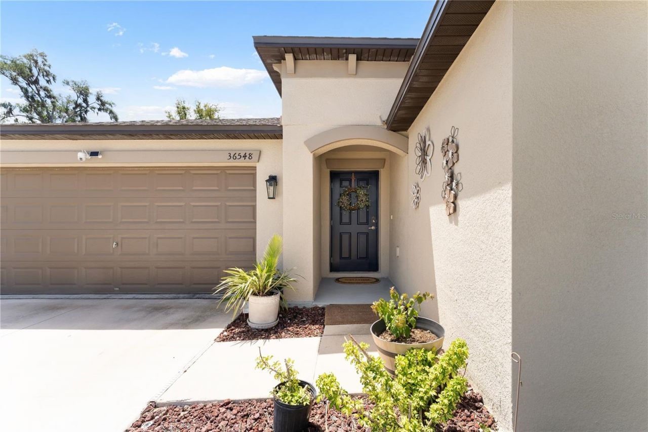 36548 Garden Wall Way, Zephyrhills, FL 33541 Photo