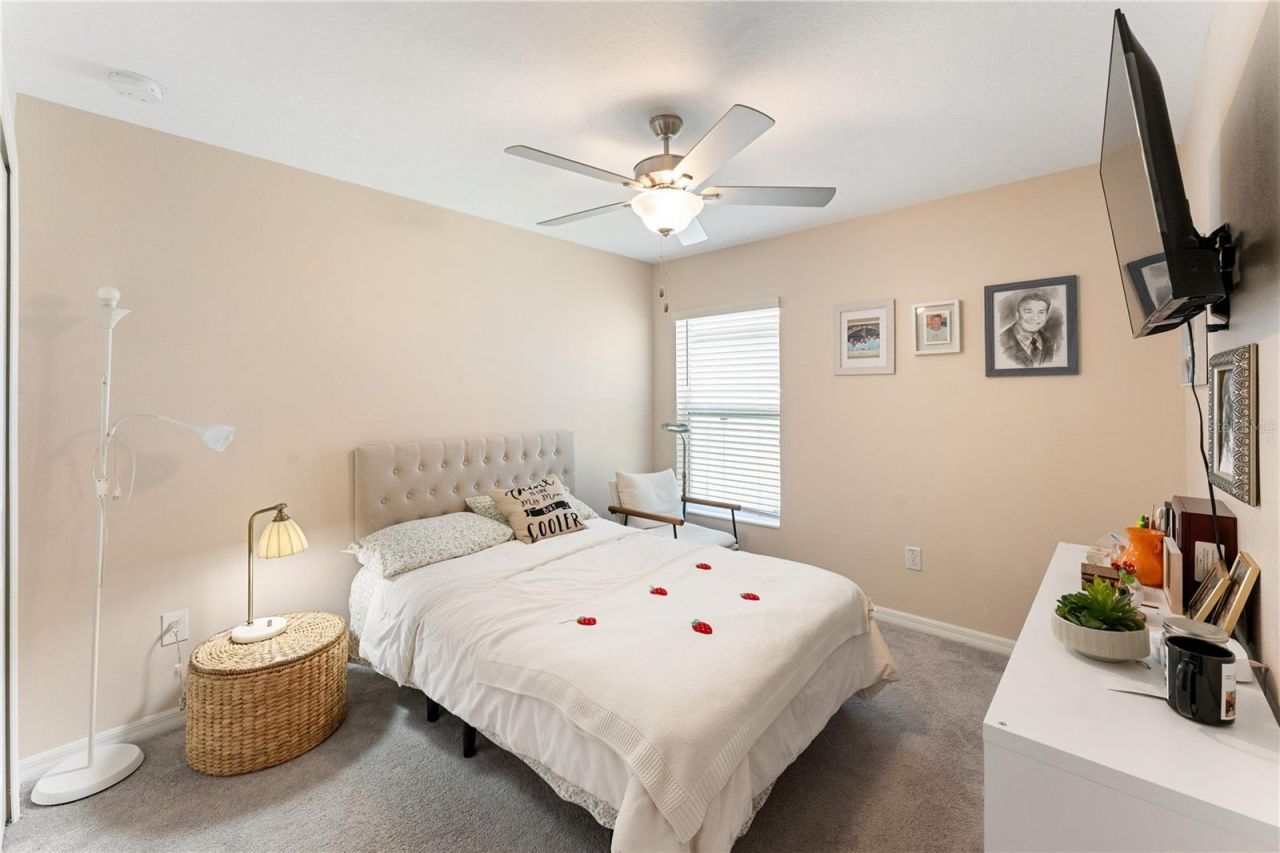 36548 Garden Wall Way, Zephyrhills, FL 33541 Photo
