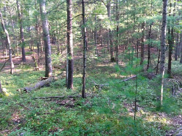 55 Old Plank Road , Sparrowbush, NY 12780