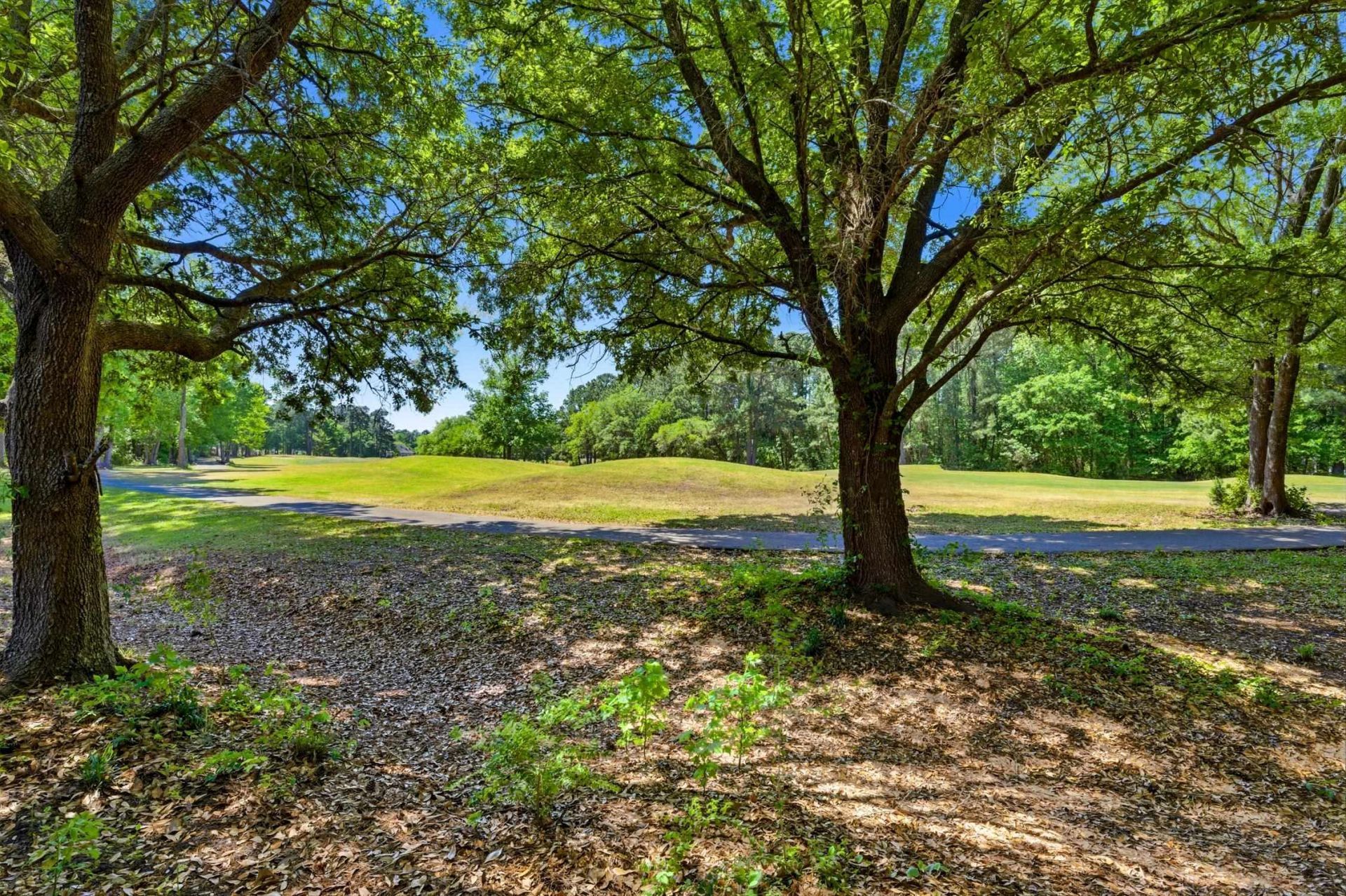 9563 Indigo Club Dr.  Photo 29