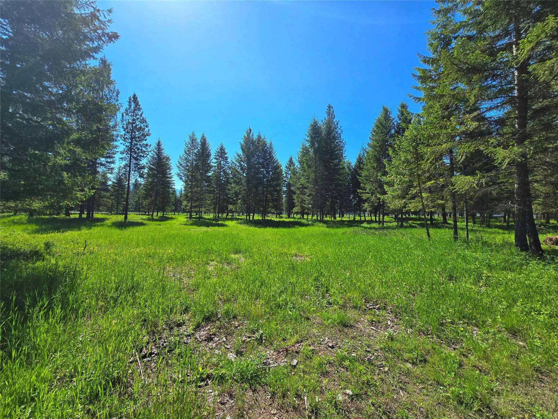 19 Faro Lane, Trout Creek, MT 59874 Main Photo