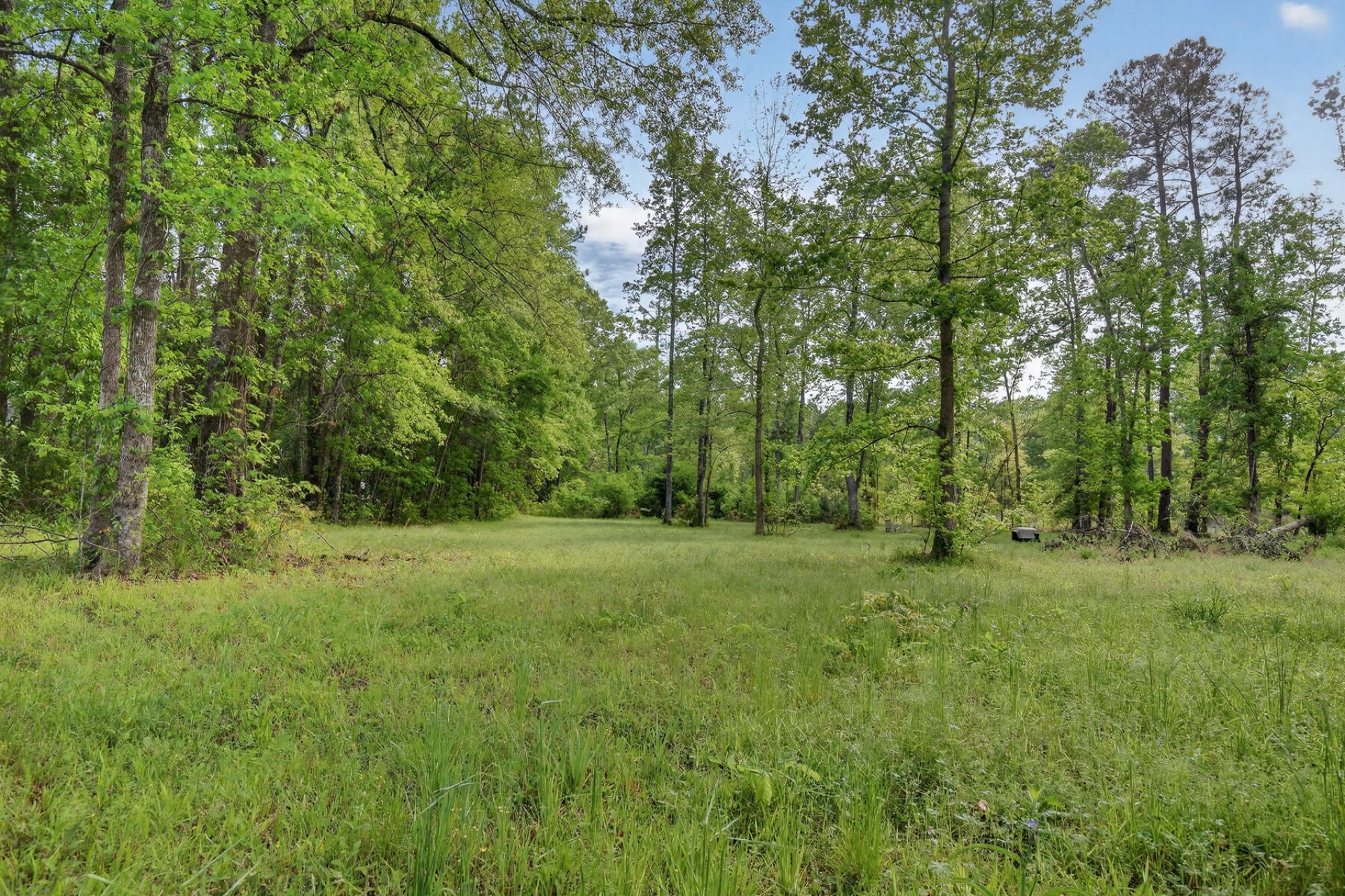 10180 Cottageville Highway Photo 19