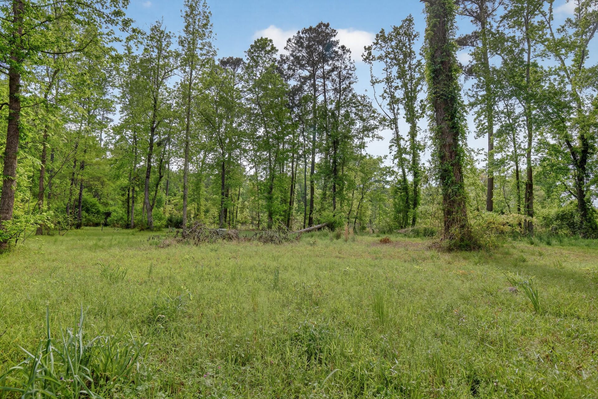 10180 Cottageville Highway Photo 20
