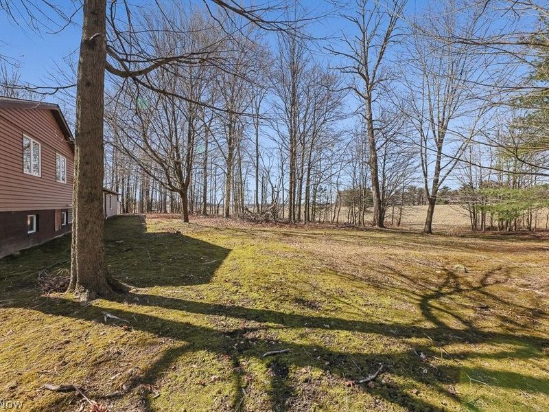 13881 Salem Church Street NE, Paris, OH 44669 Photo 49