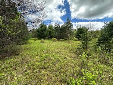 0 Pine Tree Road, New Berlin, NY 13411