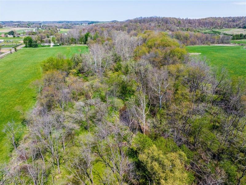 SE Liberty Church Street, Minerva, OH 44657 Photo 10