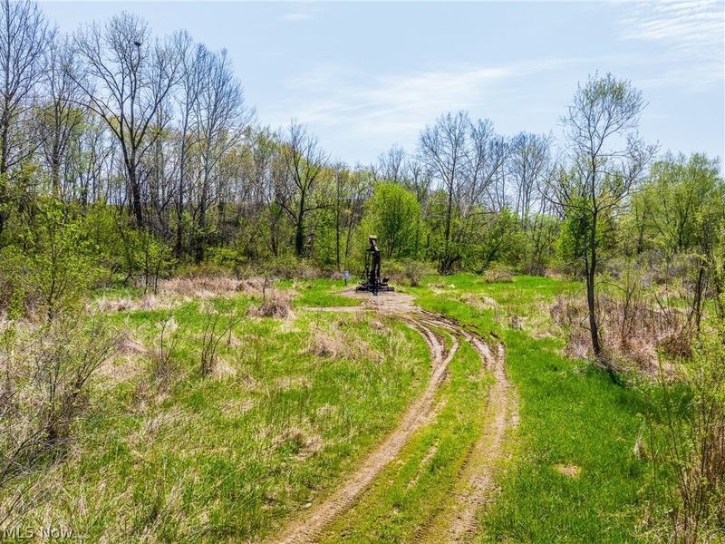 SE Liberty Church Street, Minerva, OH 44657 Photo 41