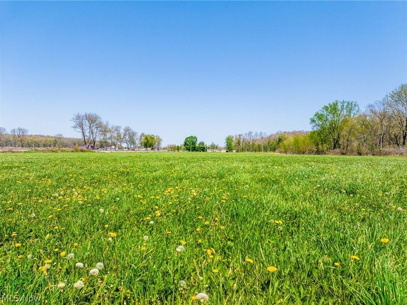 SE Liberty Church Street, Minerva, OH 44657 Photo 8