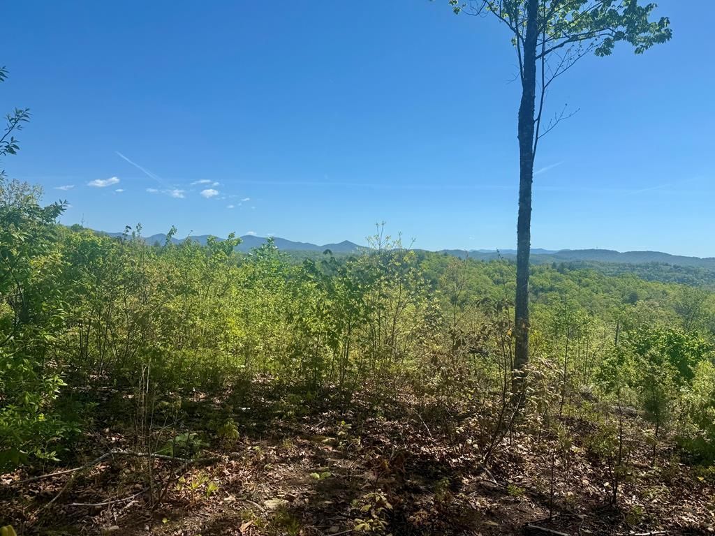 0 Wayah Ridge, Murphy, NC 28906 Main Photo