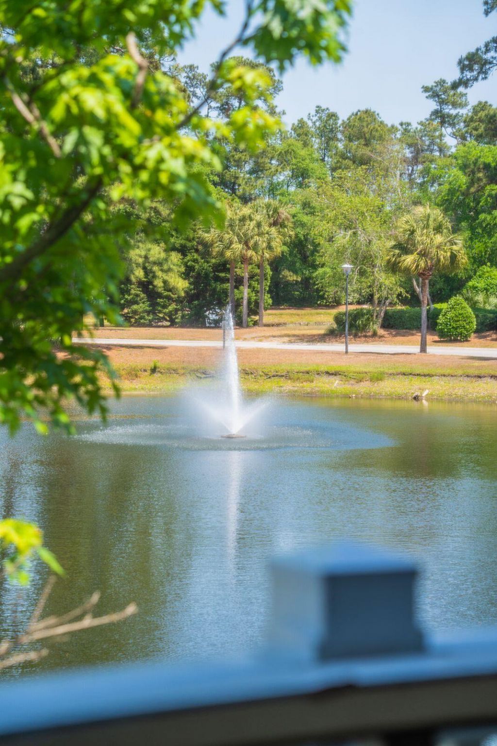 2011 N Highway 17 Photo 25