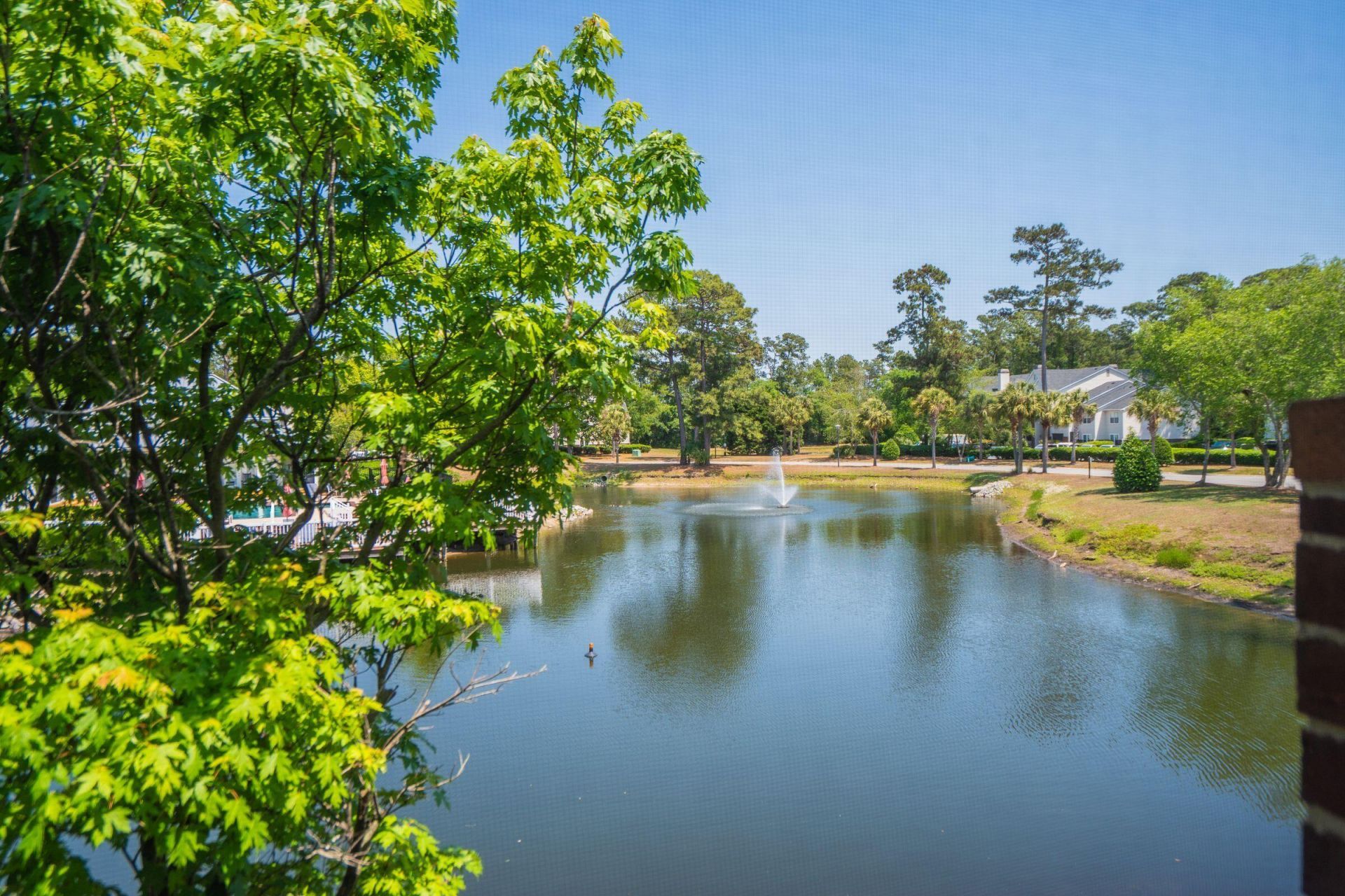 2011 N Highway 17 Photo 27