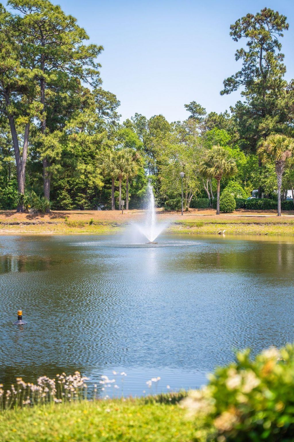 2011 N Highway 17 Photo 58