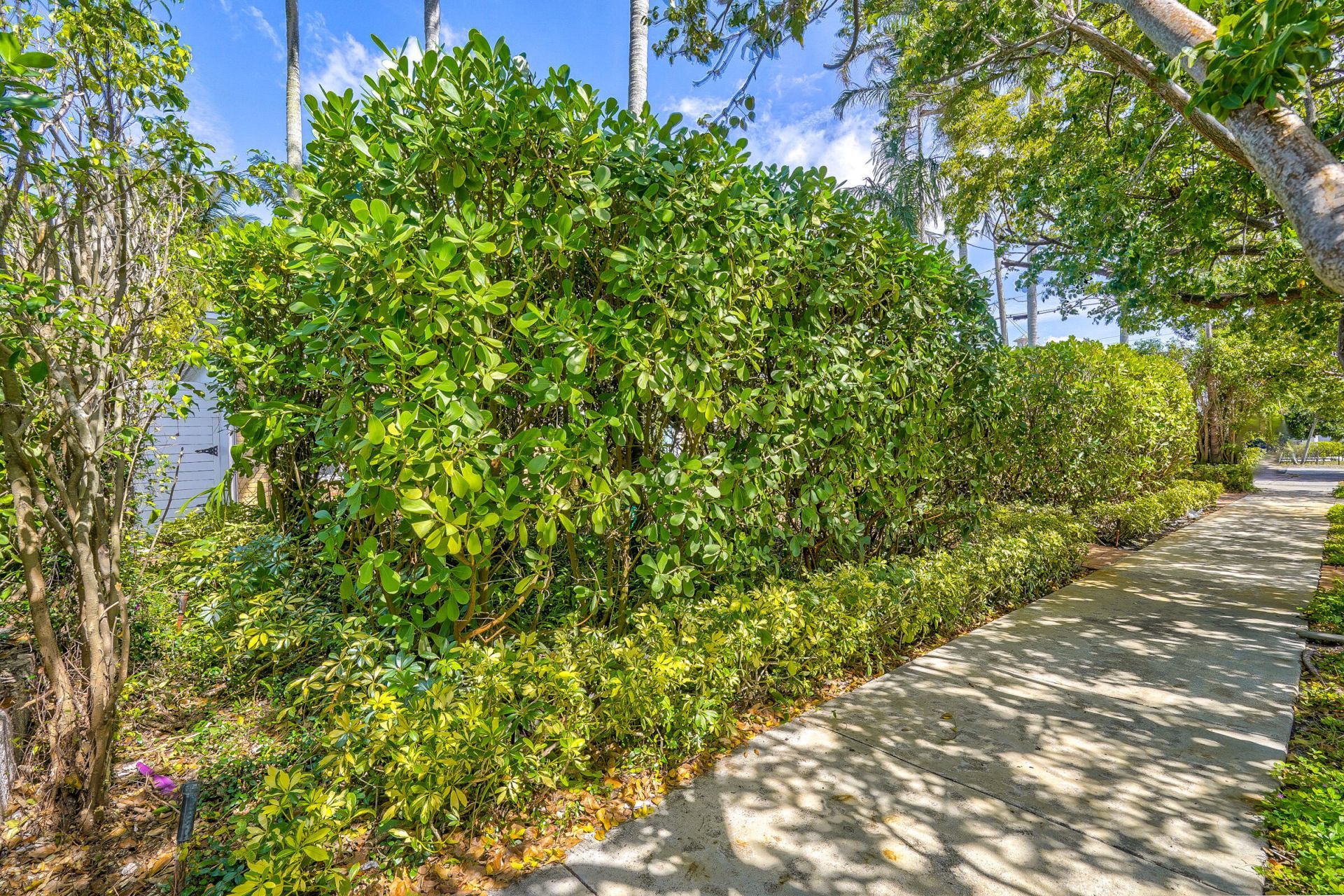 411 26th Street, West Palm Beach, FL 33407 Photo