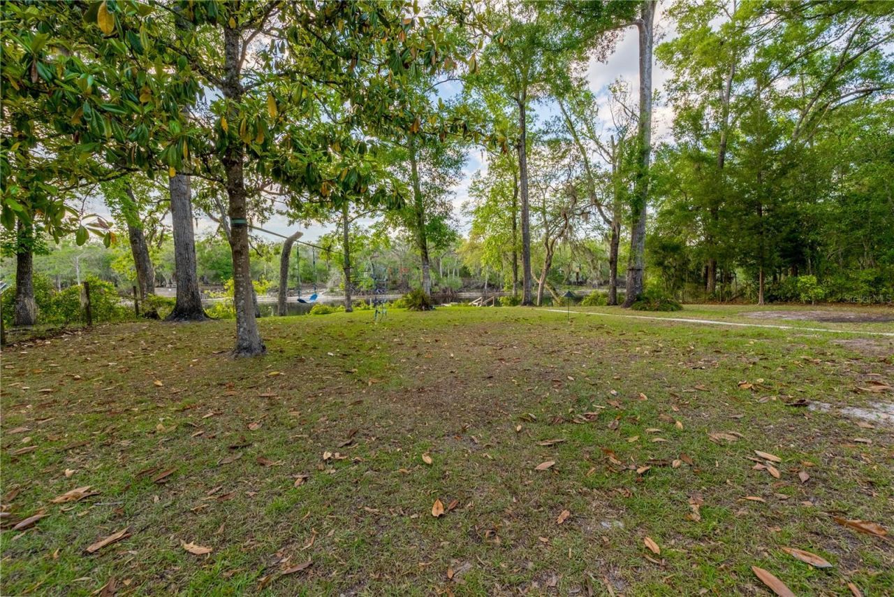 3709 NW 67th Terrace , Bell, FL 32619 Photo