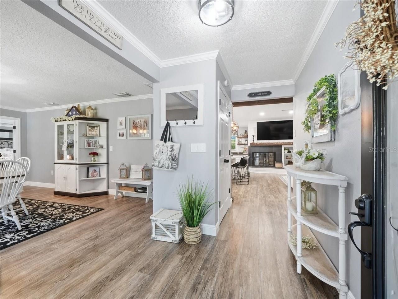 11503 Trumbull Drive, Spring Hill, FL 34609 Photo