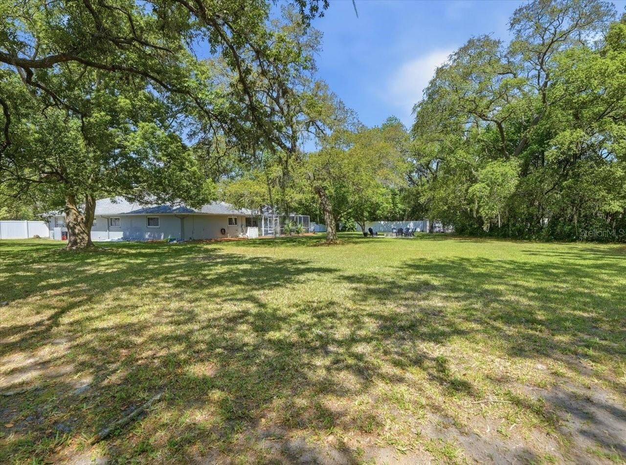 11503 Trumbull Drive, Spring Hill, FL 34609 Photo