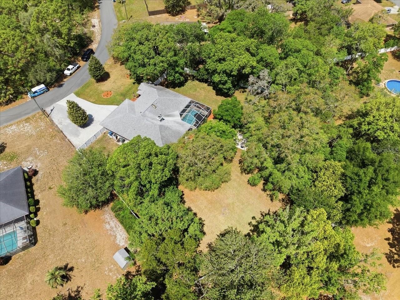 11503 Trumbull Drive, Spring Hill, FL 34609 Photo
