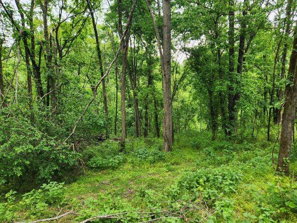 0 Thompson Hill Road , Bethpage, TN 37022