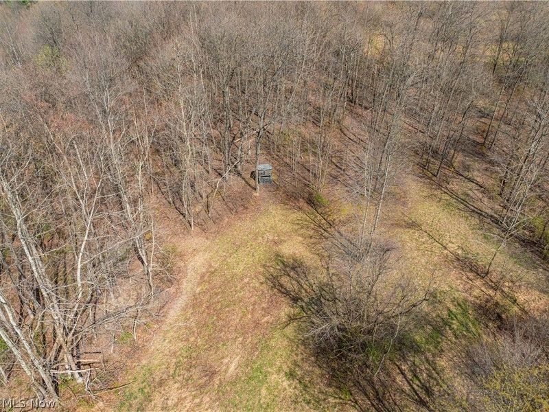 Township Rd 389, Frazeysburg, OH 43822 Photo 14