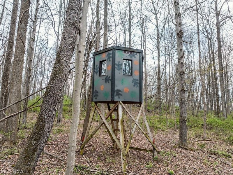 Township Rd 389, Frazeysburg, OH 43822 Photo 15