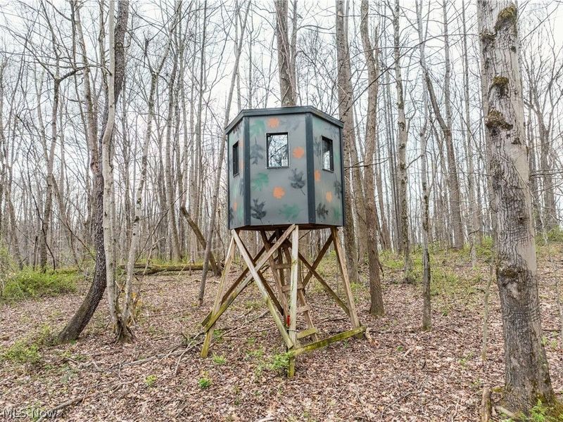 Township Rd 389, Frazeysburg, OH 43822 Photo 16