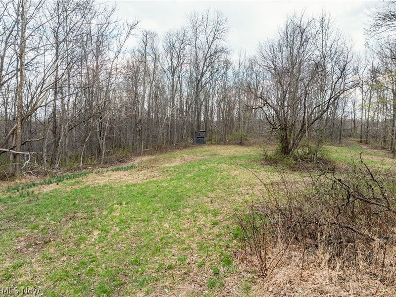 Township Rd 389, Frazeysburg, OH 43822 Photo 17