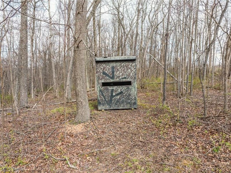 Township Rd 389, Frazeysburg, OH 43822 Photo 21