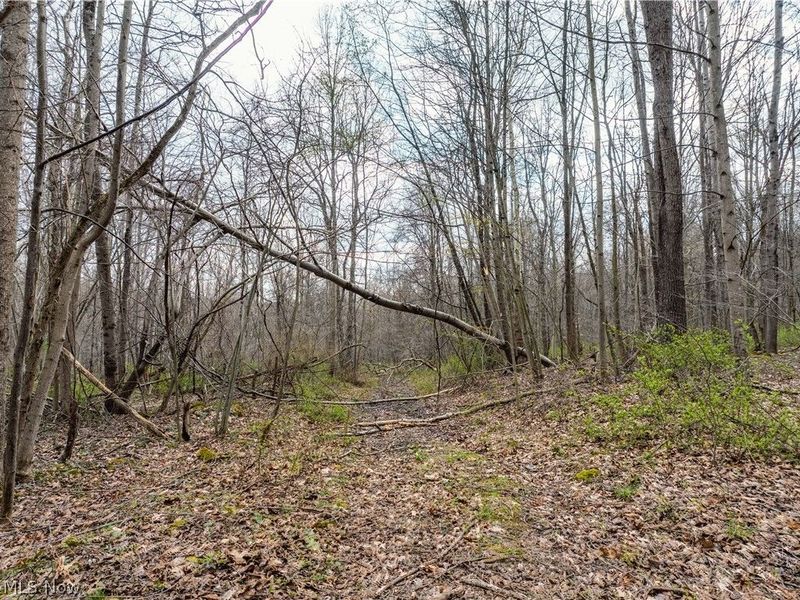 Township Rd 389, Frazeysburg, OH 43822 Photo 25