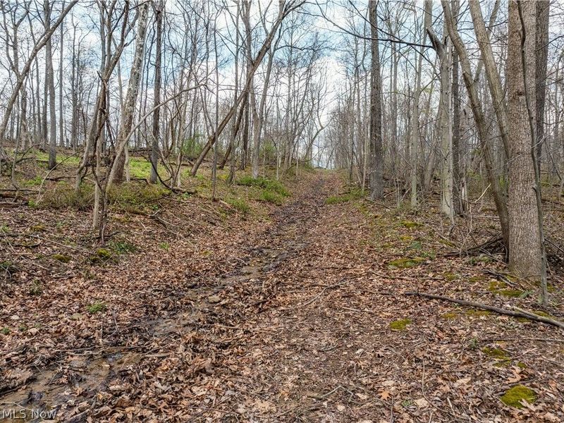 Township Rd 389, Frazeysburg, OH 43822 Photo 26