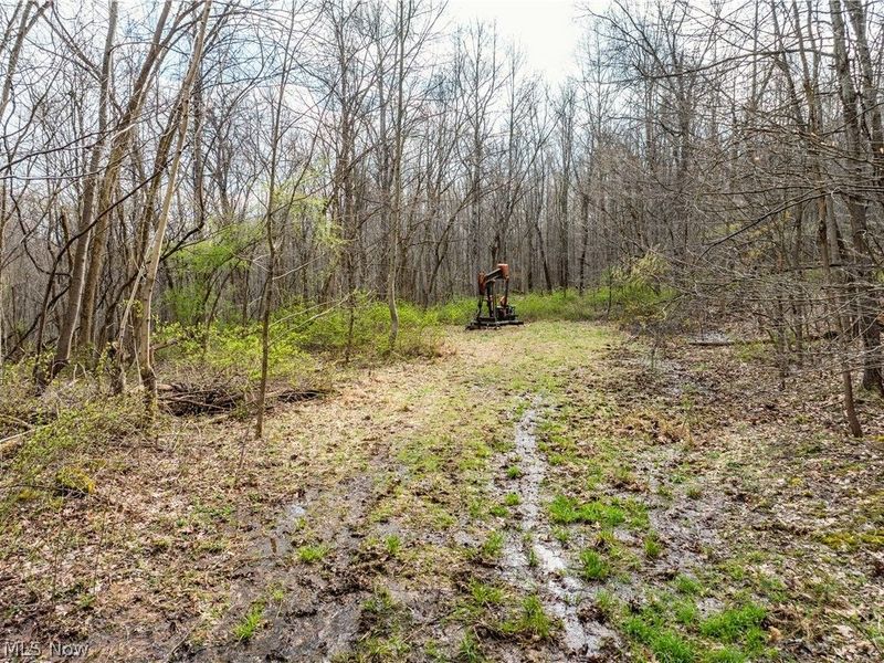 Township Rd 389, Frazeysburg, OH 43822 Photo 27