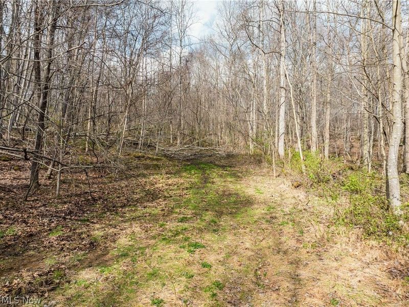 Township Rd 389, Frazeysburg, OH 43822 Photo 29