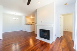 1600 Long Grove Drive photo 4