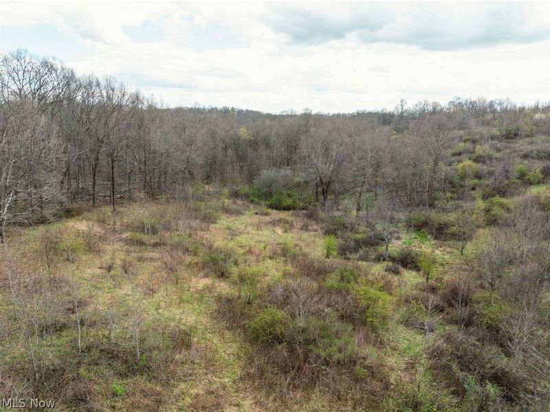 16555 Township Road 389, Frazeysburg, OH 43822 Photo 13