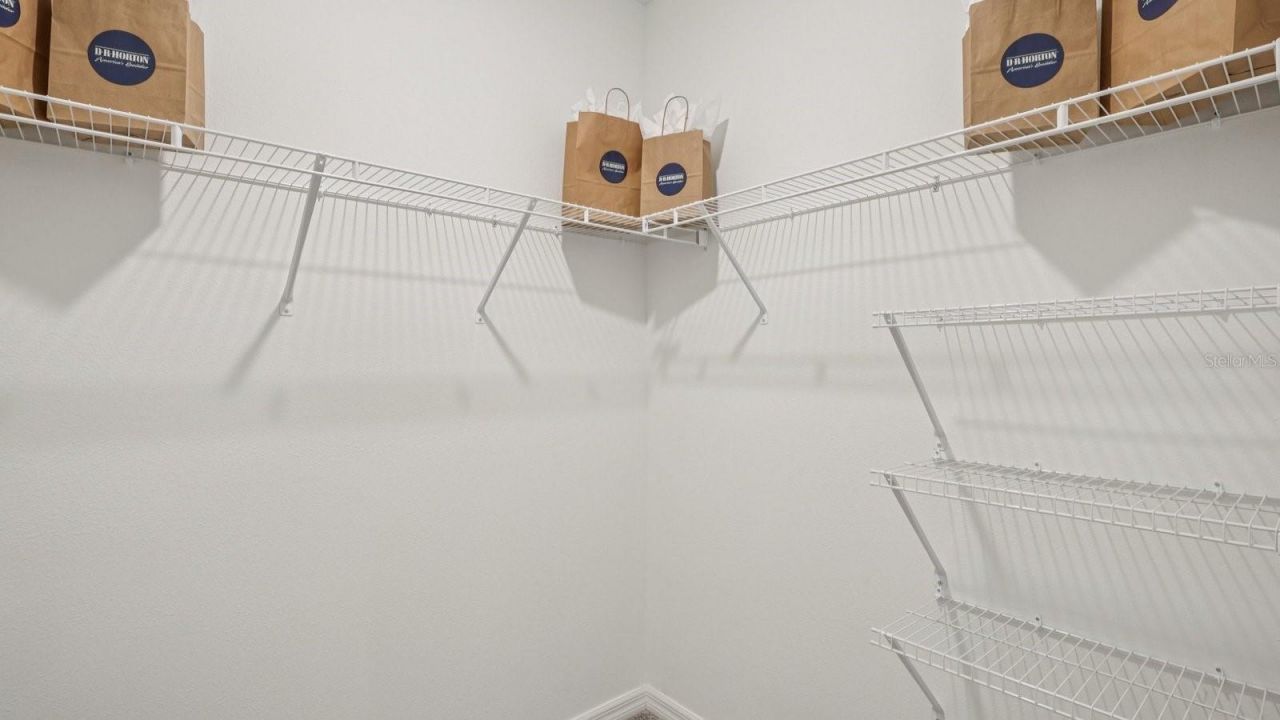 32409 Welling Blade Loop , Wesley Chapel, FL 33545 Photo