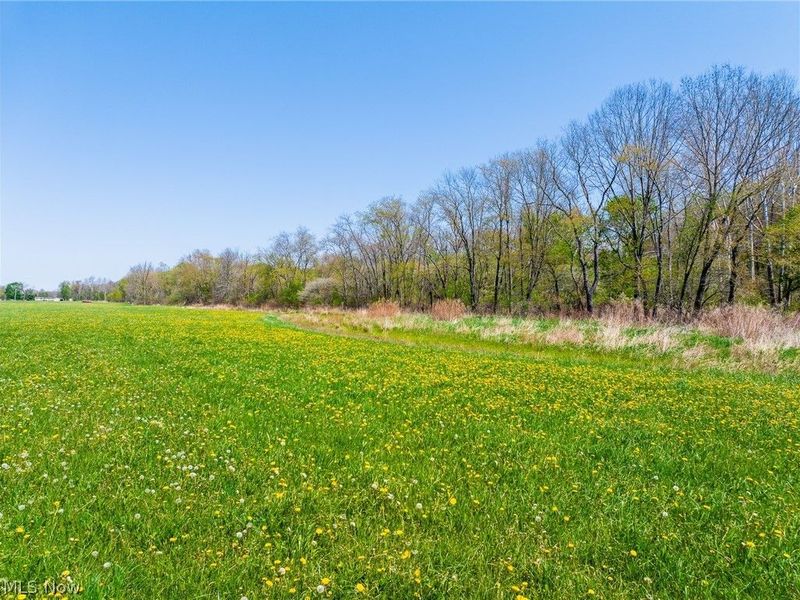 SE Liberty Church Street, Minerva, OH 44657 Photo 13