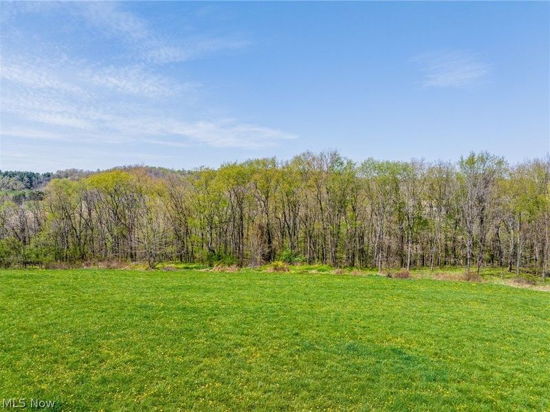 SE Liberty Church Street, Minerva, OH 44657 Photo 27