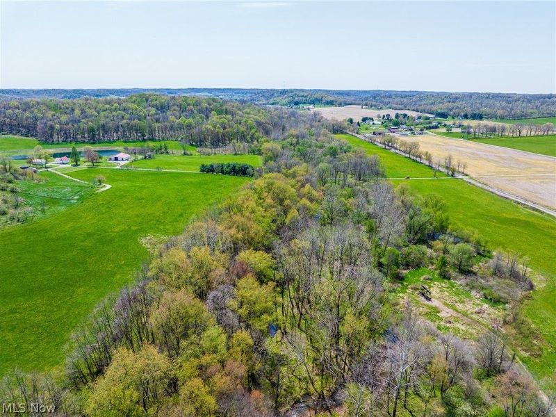 SE Liberty Church Street, Minerva, OH 44657 Photo 35