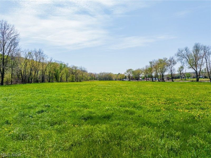 SE Liberty Church Street, Minerva, OH 44657 Photo 5