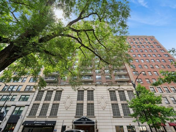 1250 N Dearborn Parkway, Unit 24E, Chicago, IL 60610
